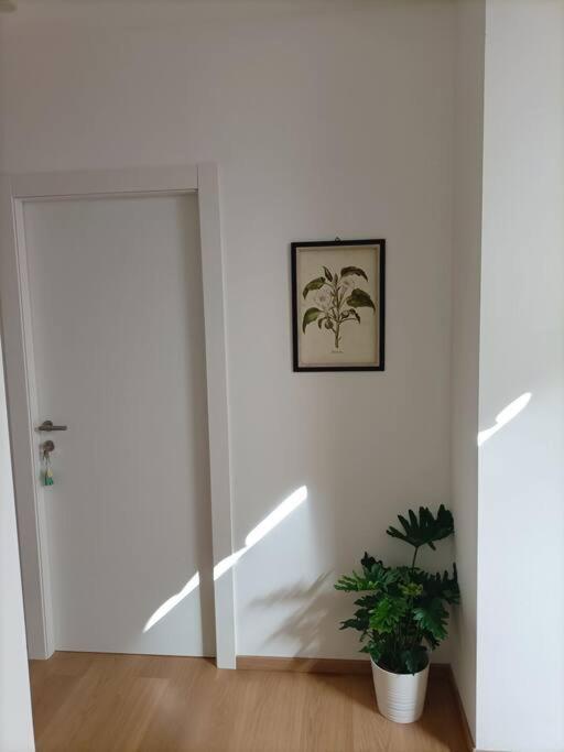Loving My Rooms 1 - Deliziosa Mansarda In Centro Gorizia Dış mekan fotoğraf